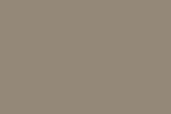 Beige TSR 51