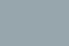 Light Grey TSR 57