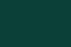 Mid Brunswick Green TSR 35